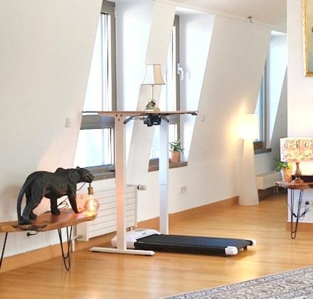 160m2 Penthouse In The Centre With A Balcony And The View